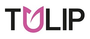Tulip Tulip