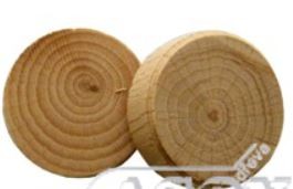 Suk větvový buk 7/25mm = Noud branché hetre 7/25mm