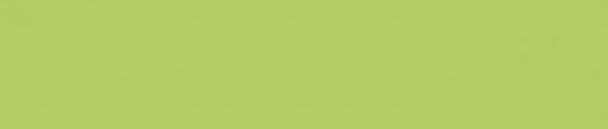 ABSB 77162/OHNE/LPE05 Vert citron U630 ST9 23/0,8