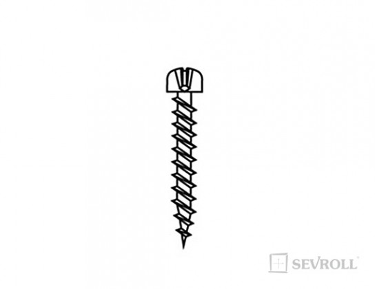 SEVROLL 20041 vis a bois 2,5x18mm tete demi-ronde zinc blanc