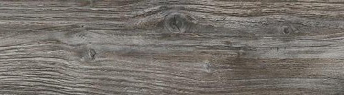 ABSB Q1486 RO (H1486) Pinie Pasadena - bord avant 23/0,8