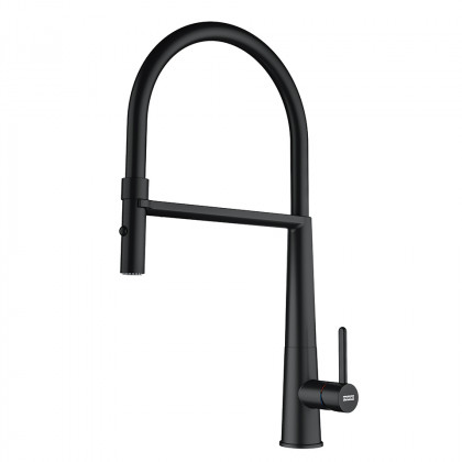FRANKE Robinet FG 0598.901 ICON douche/jets noir mat
