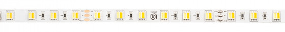 StrongLumio ruban LED 14,4W/m 24V (60 LED/m) 10mm CCT