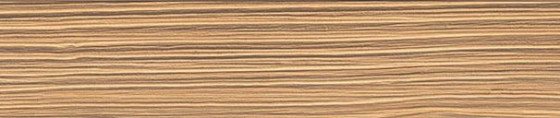 ABSB H011 G8 Sapin Nebrodi rustique 43/1,5