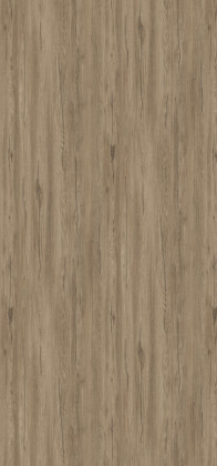 TL K544 Chene argenté Hazel 4,2 m