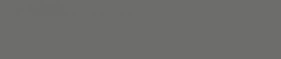 ABSB 141463/OHNE U960 PM/U960 TM9 MATT Raukantex PRO 43/1,2