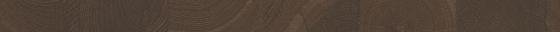 ABSB Q1369 RO (H1369) Chene Casella châtaigne - bord avant 23/0,8