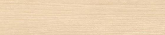 ABSB H1732 ST9 Bouleau sable 43/0,8