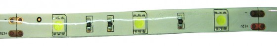 STRONG ruban LED 7,2W/m 12V 10mm blanc froid IP65