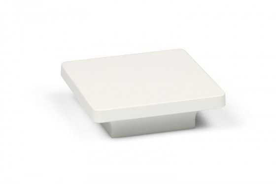 TULIP bouton 431 blanc