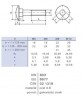 Vis verrouillage M6x25 DIN 603 zinc blanc