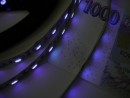 TL- Ruban LED UV 14,4W/m, 12V 10mm, puce UV originale