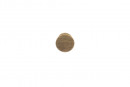 TULIP Knob Jacek oak lacquered+screw
