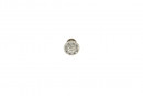 TULIP bouton Country or ancien/porcelaine beige