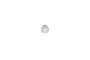 TULIP bouton Jota nickel mat + vis