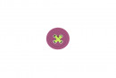 TULIP Bouton Knop rose