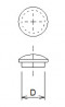 Cache - bouchon avec tenon 15mm sapin