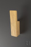 TULIP knop Xin chene brut