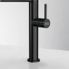 FRANKE tap FC 4170.502 Pescara Semi Pro, all-stainless steel black