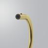 FRANKE tap FC 4169.504 Pescara, all-stainless steel gold