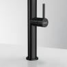 FRANKE tap FC 4169.502 Pescara, all-stainless steel black