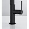 FRANKE tap FG 3660.901 Maris Clear Water, black matte