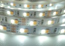 TL-LED ruban LED CCT 18W 12V 8mm