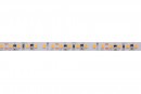 StrongLumio ruban LED 6W/m 24V (120 LED/m) 8mm CRI90 blanc froid (5 ans garantie
