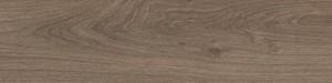 ABSB H1399 ST10 Chene Denver truffe 23/2