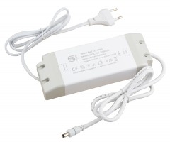StrongLumio alimentation électrique plat pour LED 12V, 100W