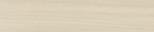 ABSB 5441/OHNE/LPE05 Bouleau 1715 BS 23/0,8