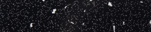 ABSB 1347W/OHNE Andromeda K218 GG Noir Brillant 43/1
