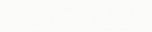 ABSB 78997/OHNE Blanc W1100/P191/U11027/11046H Brillant 23/1