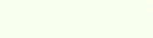 ABSB W1000 ST9 Premium blanc 22/0,8