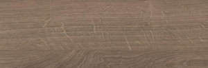 ABSB H1399 ST10 chene Denver truffe 43/0,8