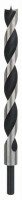 BOSCH 2608597193 Wood drill bits with M-shaped tip 18 x 250 mm, d 10 mm BOSCH 2608597193 Wood drill bits with M-shaped tip 18 x 250 mm, d 10 mm