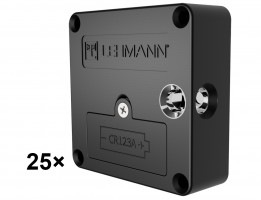 LEHMANN Pack indus. Serrures électr. Captura RFID 13.56Mhz Mifare avec contre-pa