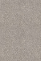 TL K550 Venera pigeon 4,2 m