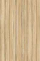 DTDL 8995 SN Coco Bolo 2800/2070/18