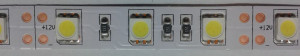 StrongLumio ruban LED 14,4W/m 12V (60 LED/m) 10mm, blanc neutre