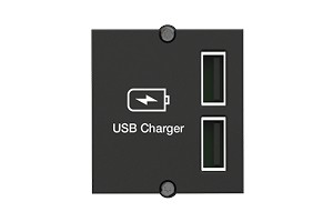 BACHMANN 917.224 keystone chargeur USB 5V/2,4A, 1 module - 2 sorties