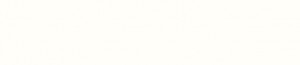 ABSB W1100 PM blanc alpin 43/1,5
