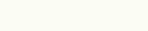 ABSB W1000 ST19 Premium blanc 54/2