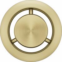 FRANKE accessoires cache-vis trop-plein rond inox doré