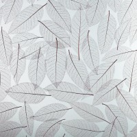 DECORACRYL Z-0030 PETG 2440/1220/4 pe/pe