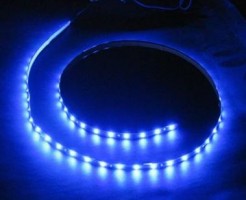 SAL ruban LED 4,8W/m 12V 8mm bleu IP20