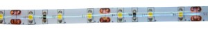 StrongLumio ruban LED 4,8W/m 12V (60 LED/m) 8mm, blanc froid IP65