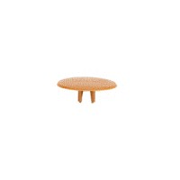 HETTICH 25056 Cache-vis pour Rastex 25 beige