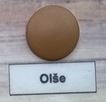 Cache-vis cruciforme olivier